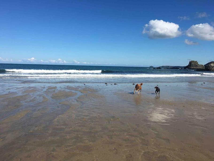 St Agnes Perfect Location, Hot Tub, Sea Views, Gym Apartamento Exterior foto